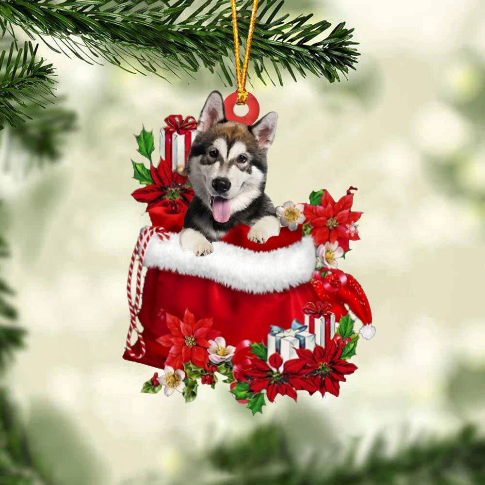 Alaskan Malamute In Gift Bag Christmas Ornament, Christmas Gift, Christmas Tree Decorations, Christmas Ornament 2023