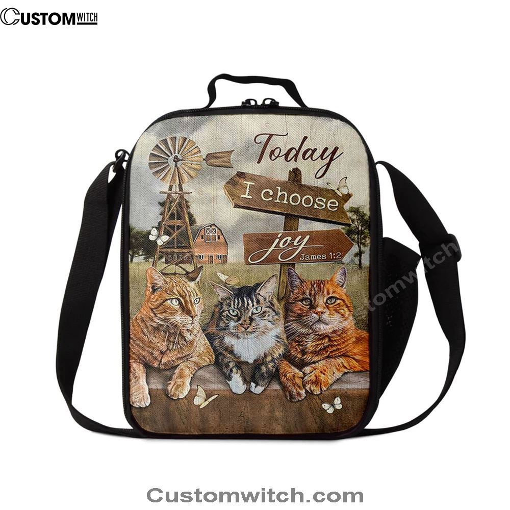 Angry Cat Windmill Today I Choose Joy Lunch Bag, Christian Lunch Bag For School, Picnic, Religious Lunch Bag