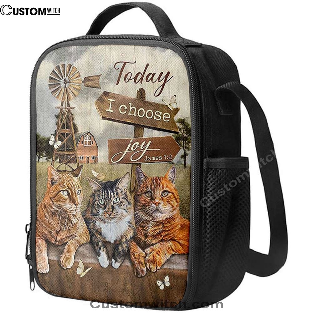 Angry Cat Windmill Today I Choose Joy Lunch Bag, Christian Lunch Bag For School, Picnic, Religious Lunch Bag