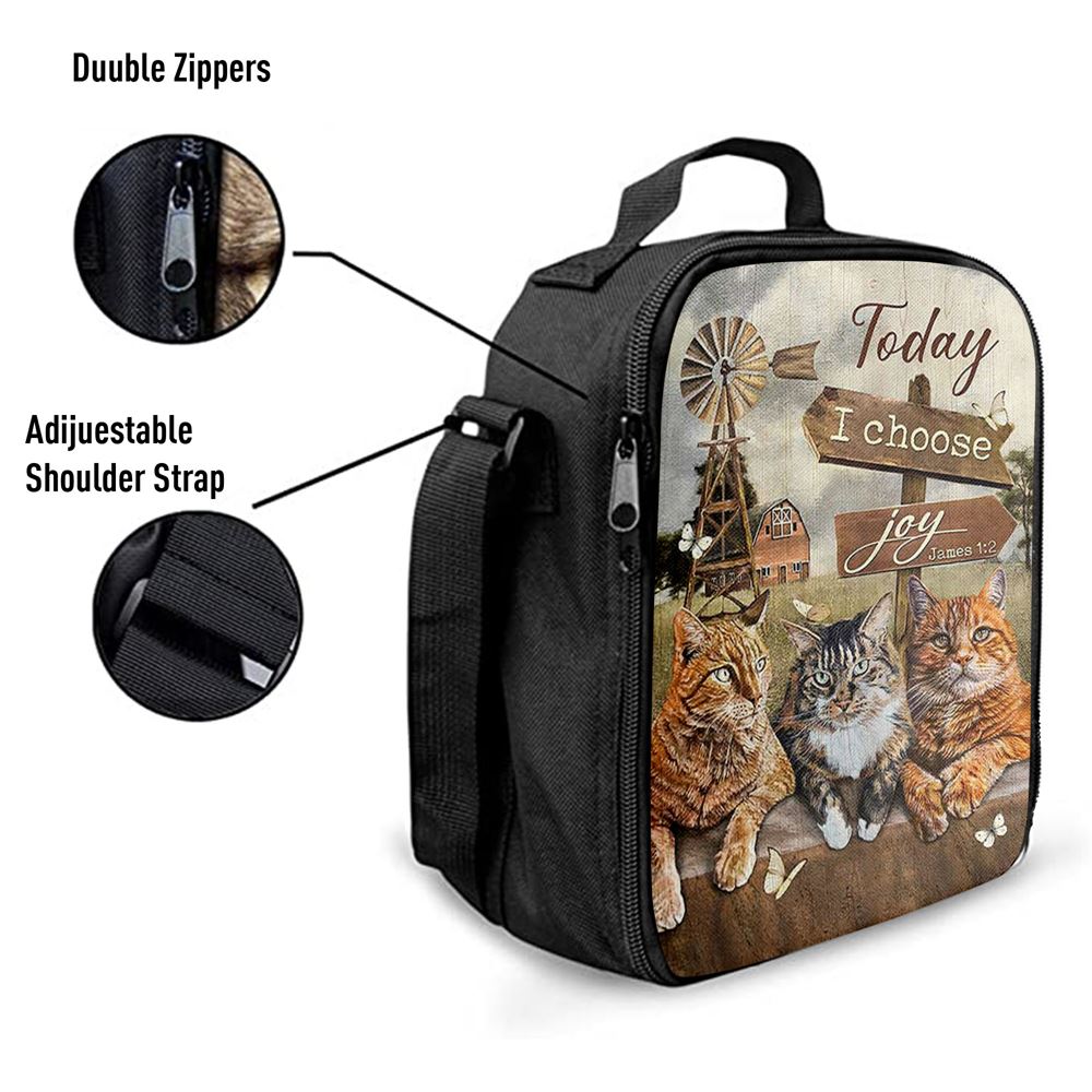 Angry Cat Windmill Today I Choose Joy Lunch Bag, Christian Lunch Bag For School, Picnic, Religious Lunch Bag