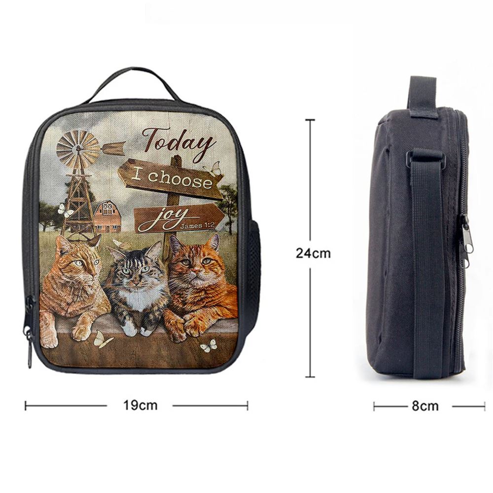 Angry Cat Windmill Today I Choose Joy Lunch Bag, Christian Lunch Bag For School, Picnic, Religious Lunch Bag