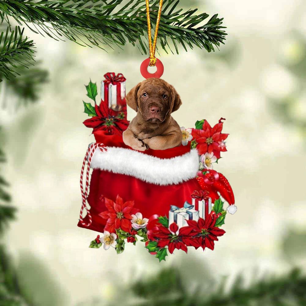 Chesapeake Bay Retriever In Gift Bag Christmas Ornament, Christmas Gift, Christmas Tree Decorations, Christmas Ornament 2023