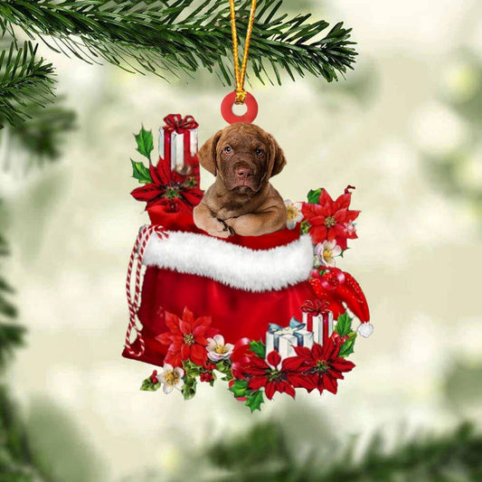 Chesapeake Bay Retriever In Gift Bag Christmas Ornament, Christmas Gift, Christmas Tree Decorations, Christmas Ornament 2023