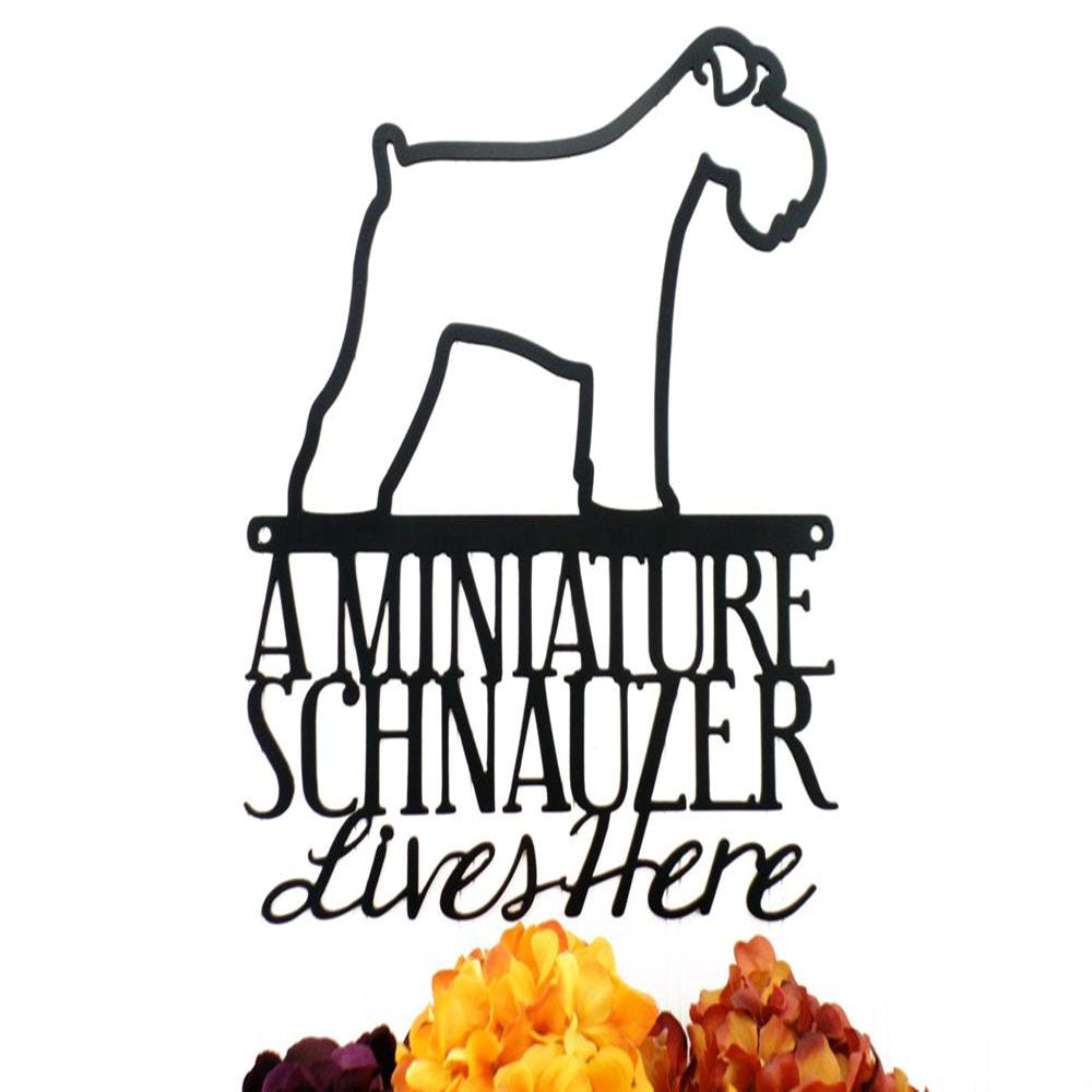Custom Metal Sign, Miniature Schnauzer Lives Here  Metal Sign, Anniversary Gift, Dog House Sign, Outdoor Sign, Home Decor Sign