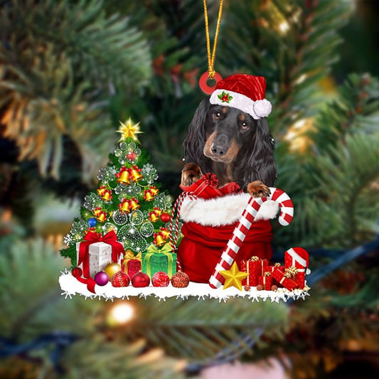 Dachshund Gift Bag Merry Christmas Ornament, Christmas Gift, Christmas Tree Decorations, Christmas Ornament 2023