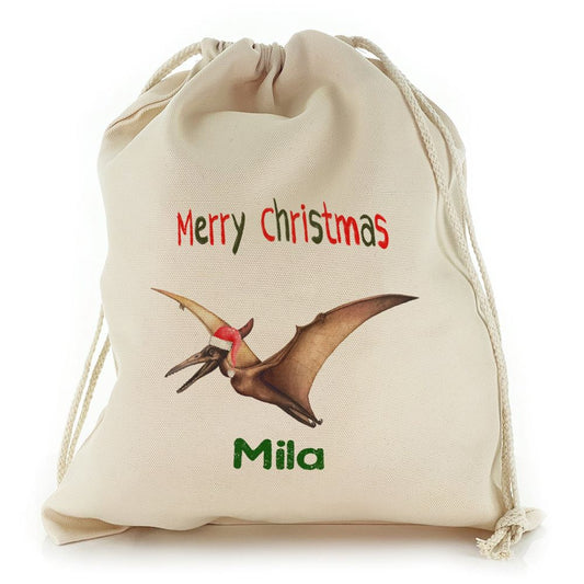 Flying Santa Hat Dinosaur Christmas Sack, Gift For Chidren, Christmas Bag Gift, Christmas Gift 2023