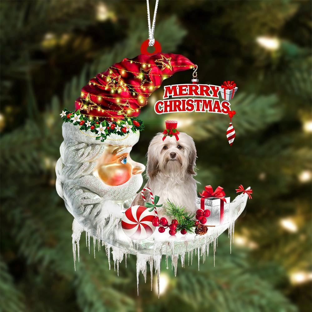 Havanese On The Moon Merry Christmas Hanging Ornament, Christmas Gift, Christmas Tree Decorations, Christmas Ornament 2023