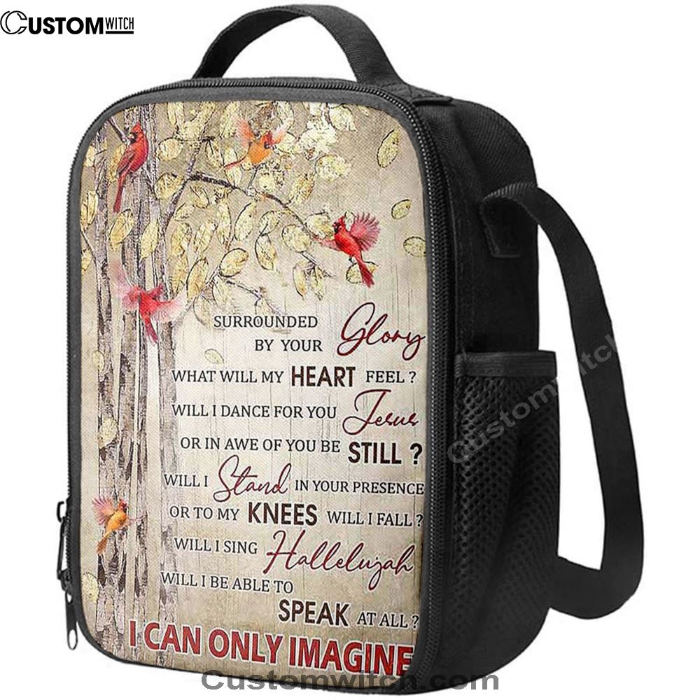 I Can Only Imagine Cardinal Lunch Bag, Christian Lunch Bag, Religious Lunch Box For School, Picnic
