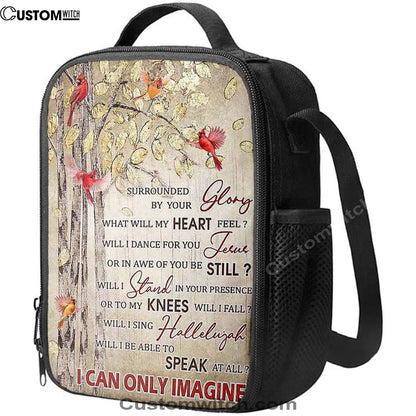 I Can Only Imagine Cardinal Lunch Bag, Christian Lunch Bag, Religious Lunch Box For School, Picnic