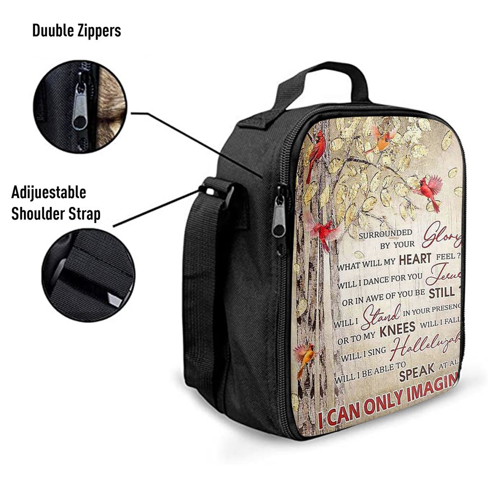 I Can Only Imagine Cardinal Lunch Bag, Christian Lunch Bag, Religious Lunch Box For School, Picnic