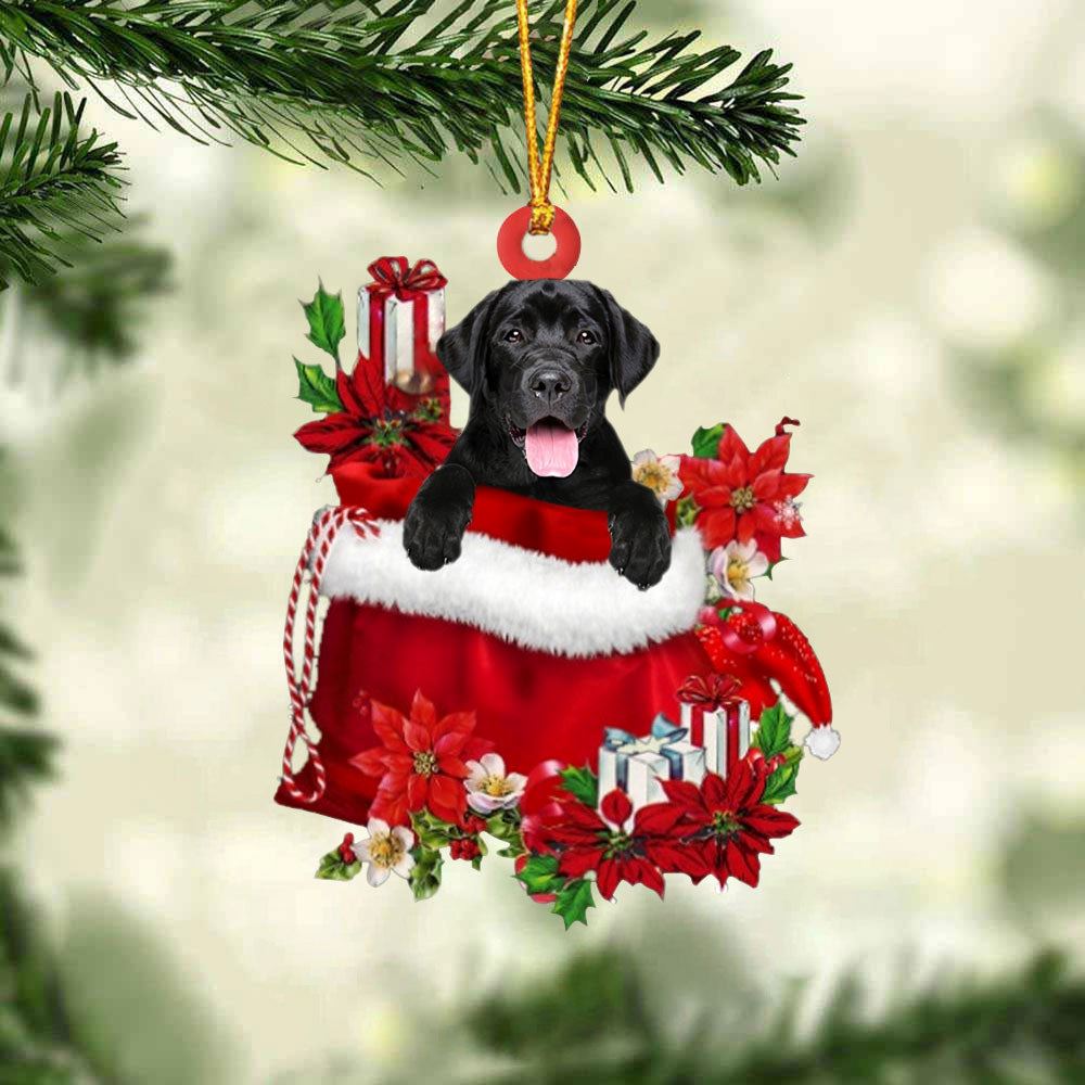 Labrador Retriever 2 In Gift Bag Christmas Ornament, Christmas Gift, Christmas Tree Decorations, Christmas Ornament 2023