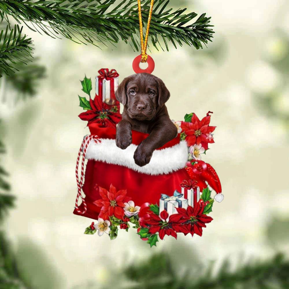 Labrador Retriever In Gift Bag Christmas Ornaments, Christmas Gift, Christmas Tree Decorations, Christmas Ornament 2023