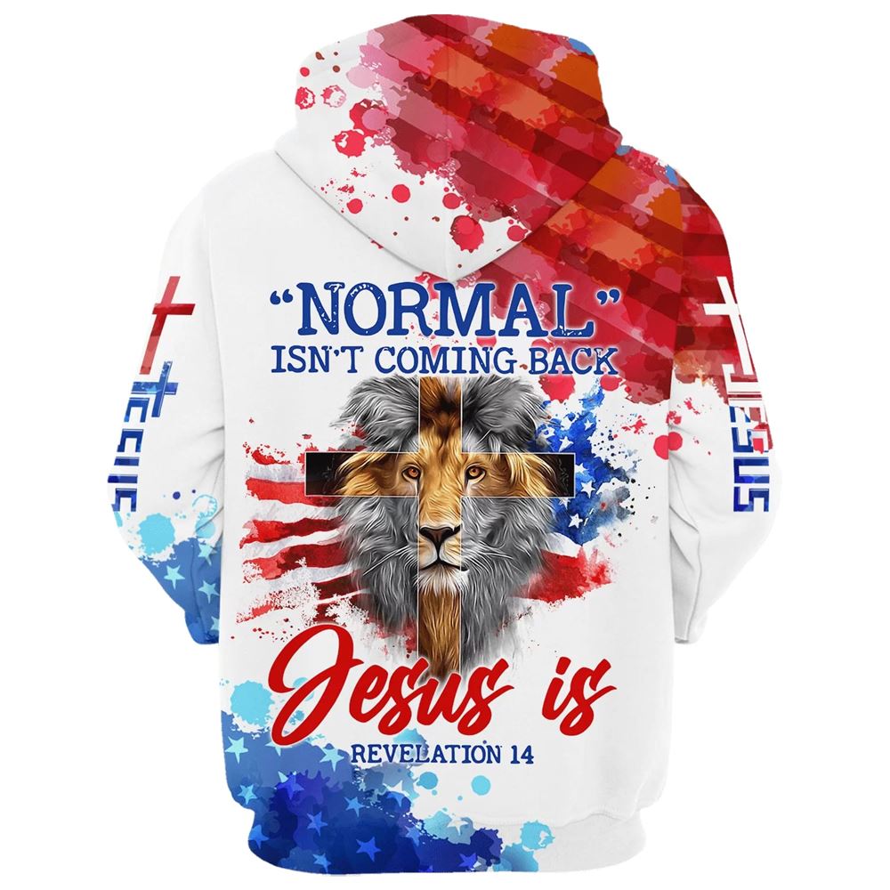 Lion Cross Normal Isn't Coming Back Jesus Is Hoodies Jesus Hoodie Men & Women, God 3D Printed Hoodie, Christian Apparel Hoodies