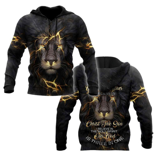 Lion Faith in God I Belive In The Holy Spirit Our God Is Three In One God 3D Hoodie For Man And Women, Jesus Printed 3D Hoodie
