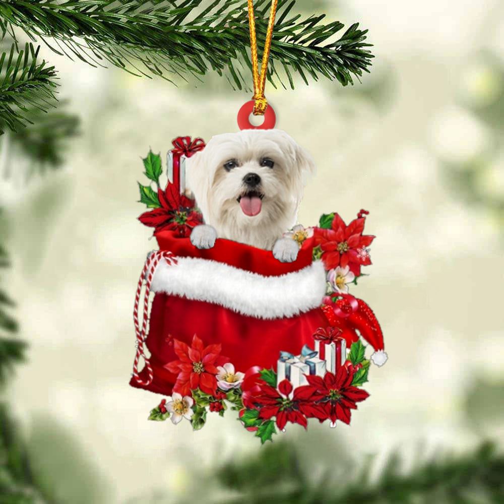 Maltese In Gift Bag Christmas Ornaments, Christmas Gift, Christmas Tree Decorations, Christmas Ornament 2023