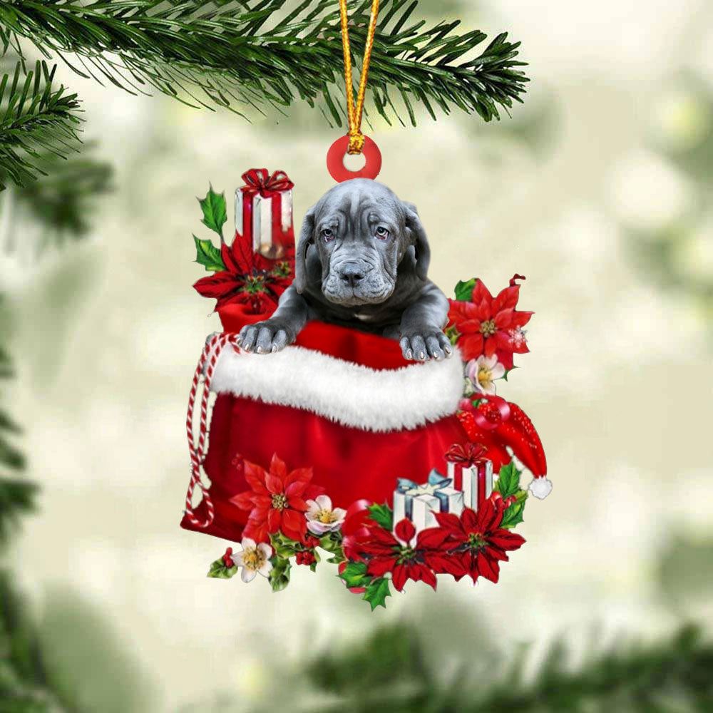 Neapolitan Mastiff In Gift Bag Christmas Ornament, Christmas Gift, Christmas Tree Decorations, Christmas Ornament 2023