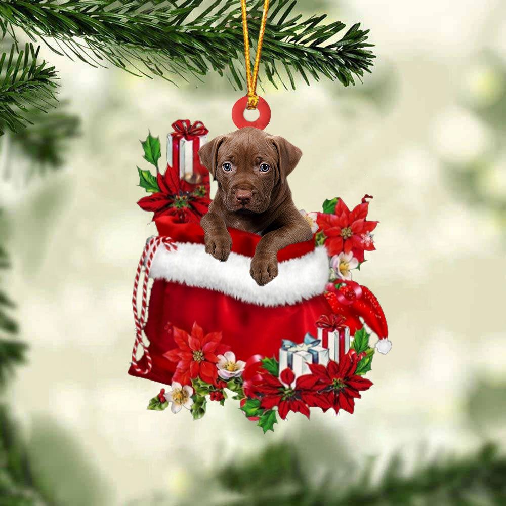 Pitbull Gifts Bag Christmas Ornaments, Christmas Gift, Christmas Tree Decorations, Christmas Ornament 2023