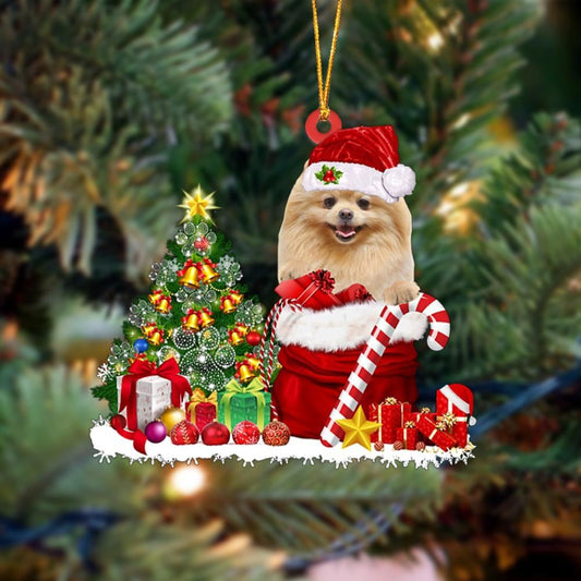 Pomeranian Gift Bag Merry Christmas Ornament, Christmas Gift, Christmas Tree Decorations, Christmas Ornament 2023