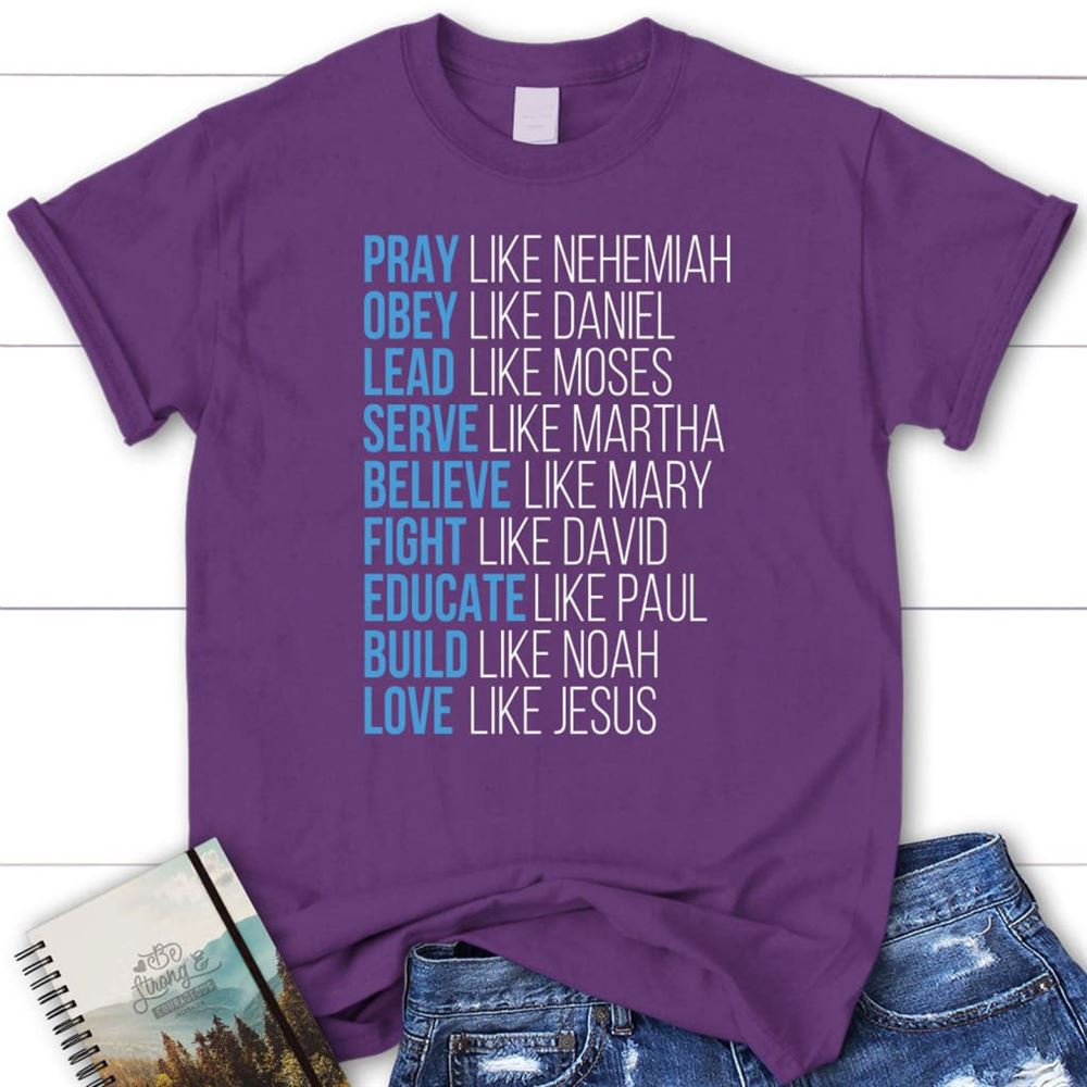 Pray Like Nehemiah Obey Like Daniel Shirt, Christian T Shirts, Blessed T Shirt, Bible T shirt, T shirt Women
