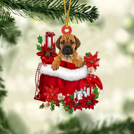Rhodesian Ridgeback In Gift Bag Christmas Ornament, Christmas Gift, Christmas Tree Decorations, Christmas Ornament 2023