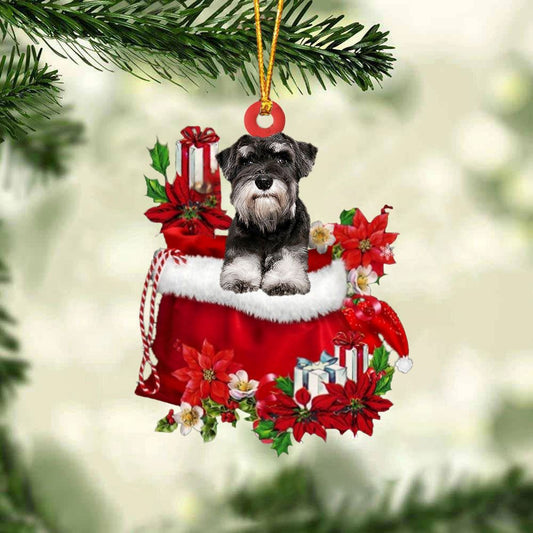 Schnauzer0 In Gift Bag Christmas Ornament, Christmas Gift, Christmas Tree Decorations, Christmas Ornament 2023