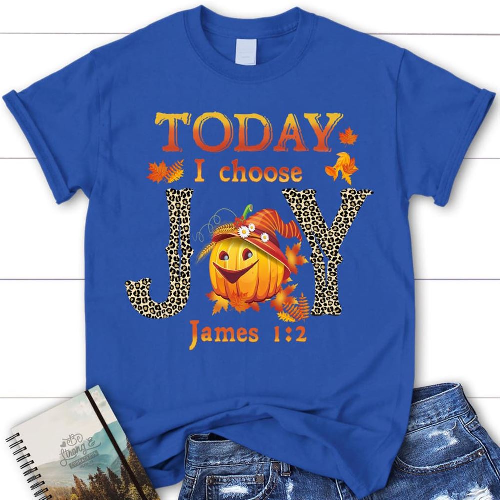 Today I Choose Joy James 12 Pumpkin Christian T Shirt - Autumn Thanksgiving Gifts, Blessed T Shirt, Bible T shirt, T shirt Women