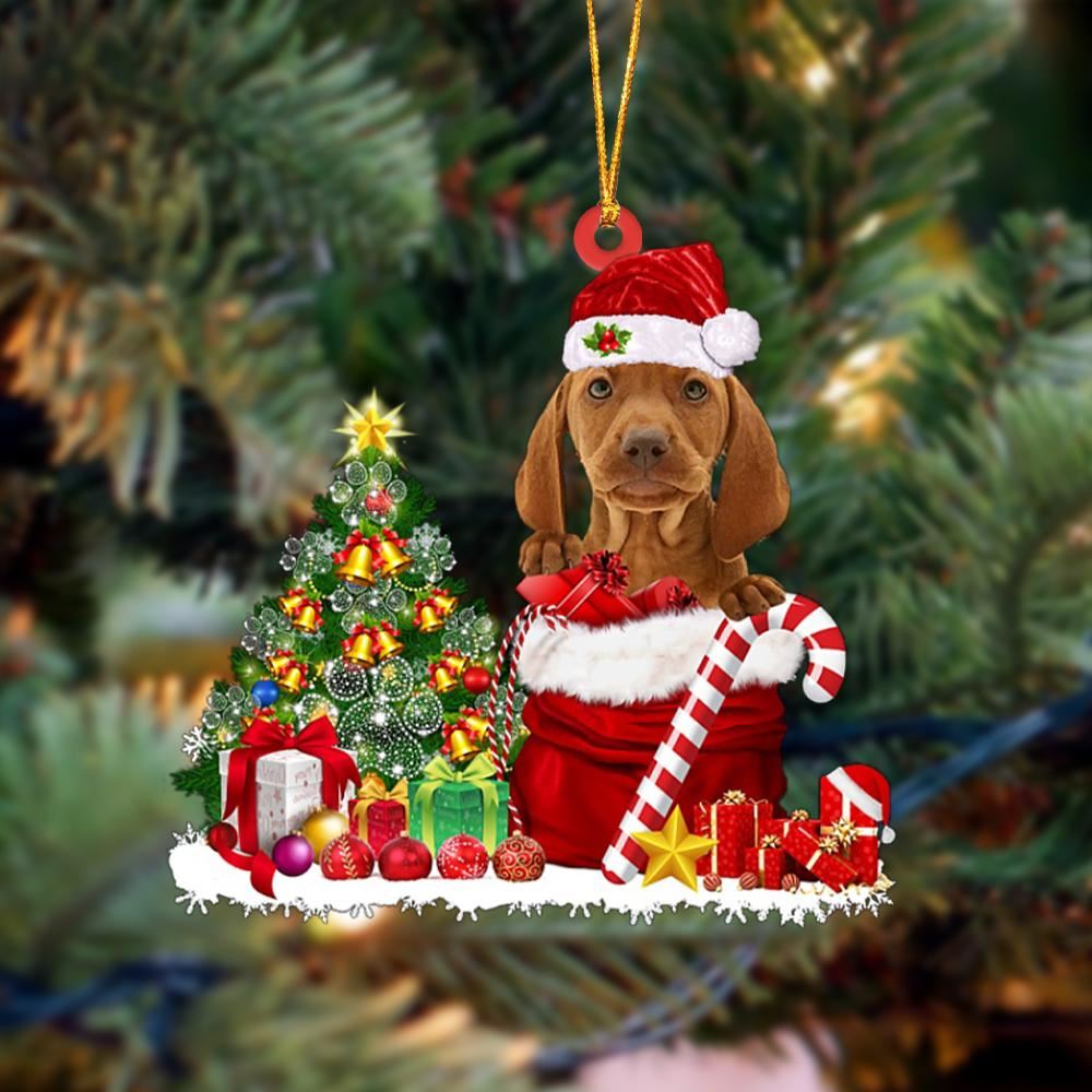Vizsla Gift Bag Merry Christmas Ornament, Christmas Gift, Christmas Tree Decorations, Christmas Ornament 2023