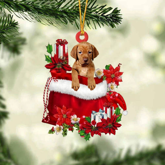 Vizsla In Gift Bag Christmas Ornaments, Christmas Gift, Christmas Tree Decorations, Christmas Ornament 2023