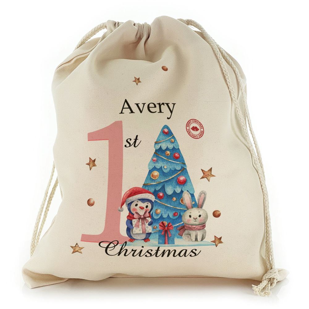 Winter Text and Baby Girl Pink First Christmas Christmas Sack, Gift For Chidren, Christmas Bag Gift, Christmas Gift 2023