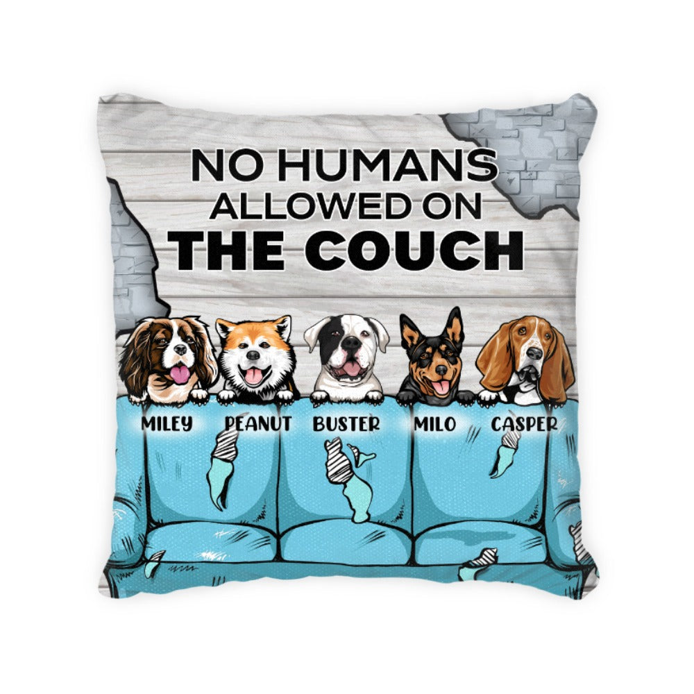 Personalized - No humans allowed on the couch - choose up to 5 Dogs/Cats - Pillow/ Cushion/ Print on both sides