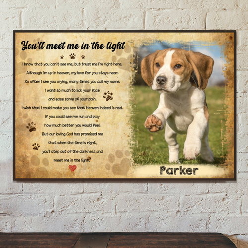 Customwitch Personalized Canvas/Poster for Family/Pet Lovers Unique Gift with your own photos - You'll meet me in the light